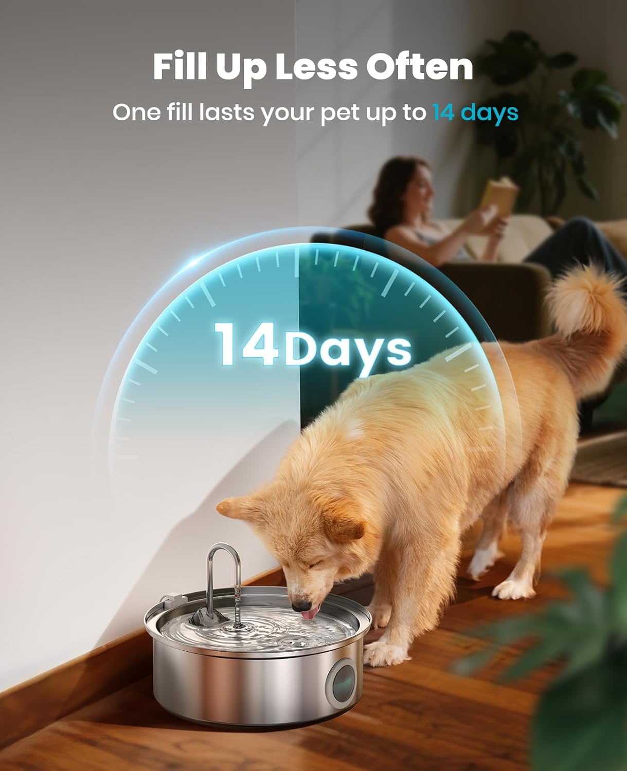 Fontana per cani, 7 litri/230 oz/1,8 g, silenziosa, con ciotola in acciaio inossidabile, indicatore visivo del livello dell'acqua e triplo sistema di filtraggio.