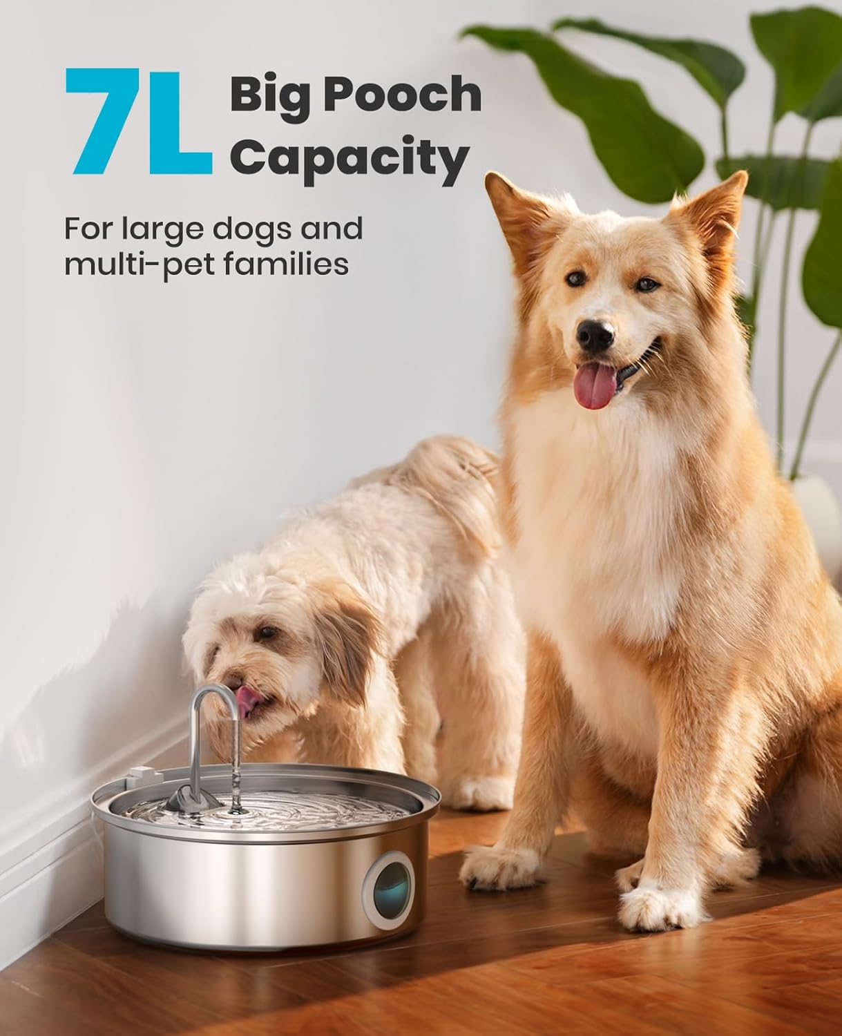Fontana per cani, 7 litri/230 oz/1,8 g, silenziosa, con ciotola in acciaio inossidabile, indicatore visivo del livello dell'acqua e triplo sistema di filtraggio.